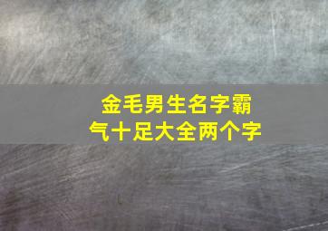 金毛男生名字霸气十足大全两个字