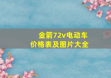 金箭72v电动车价格表及图片大全