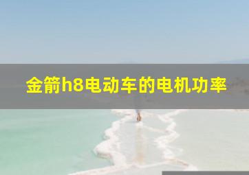 金箭h8电动车的电机功率