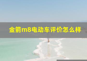 金箭m8电动车评价怎么样