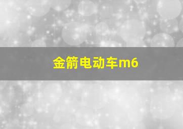 金箭电动车m6