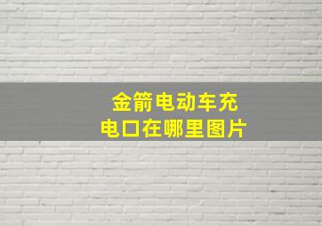 金箭电动车充电口在哪里图片