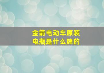 金箭电动车原装电瓶是什么牌的