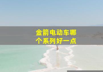 金箭电动车哪个系列好一点