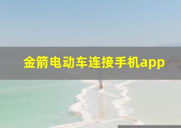 金箭电动车连接手机app