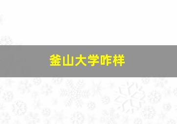 釜山大学咋样