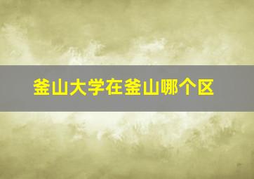 釜山大学在釜山哪个区