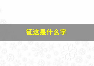 钲这是什么字