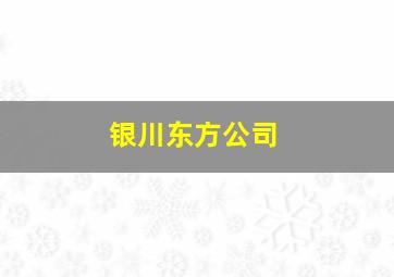 银川东方公司