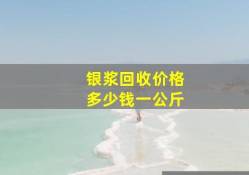 银浆回收价格多少钱一公斤