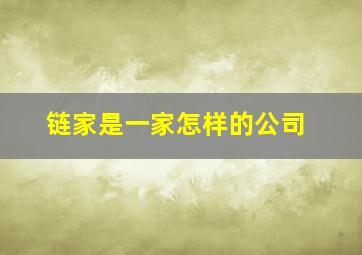 链家是一家怎样的公司