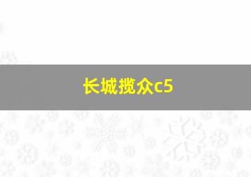 长城揽众c5