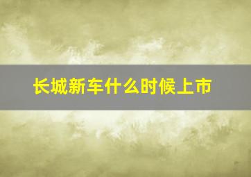 长城新车什么时候上市