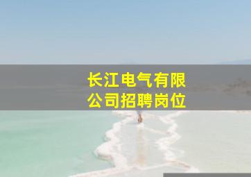 长江电气有限公司招聘岗位