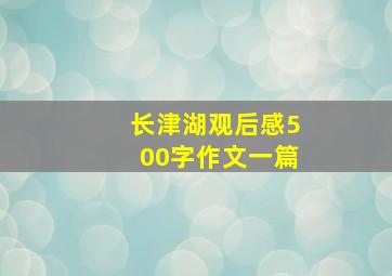 长津湖观后感500字作文一篇