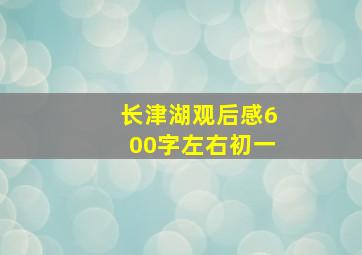 长津湖观后感600字左右初一