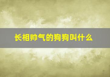 长相帅气的狗狗叫什么