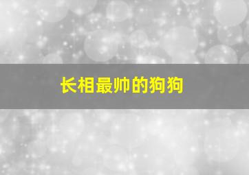 长相最帅的狗狗