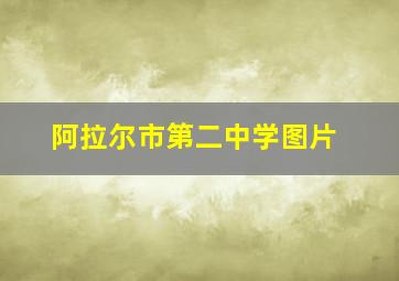 阿拉尔市第二中学图片