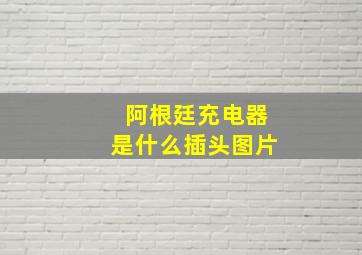 阿根廷充电器是什么插头图片