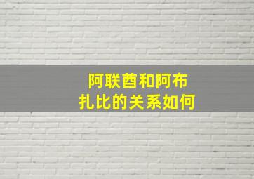 阿联酋和阿布扎比的关系如何