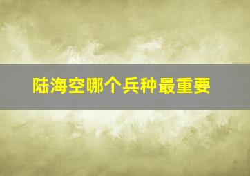 陆海空哪个兵种最重要