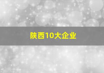 陕西10大企业