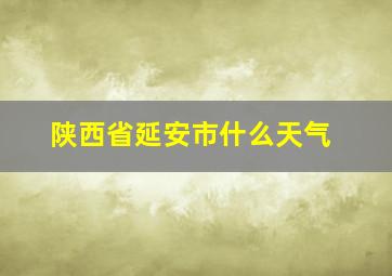 陕西省延安市什么天气