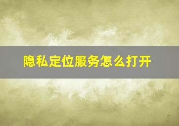 隐私定位服务怎么打开