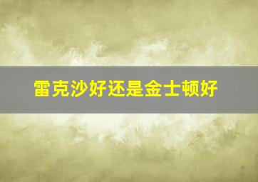 雷克沙好还是金士顿好