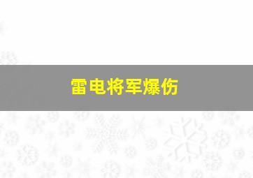 雷电将军爆伤