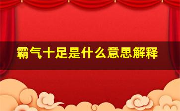 霸气十足是什么意思解释