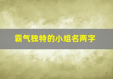 霸气独特的小组名两字