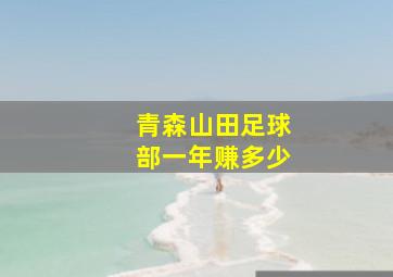 青森山田足球部一年赚多少