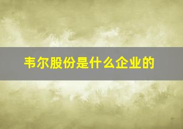 韦尔股份是什么企业的