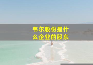 韦尔股份是什么企业的股东