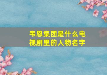 韦恩集团是什么电视剧里的人物名字