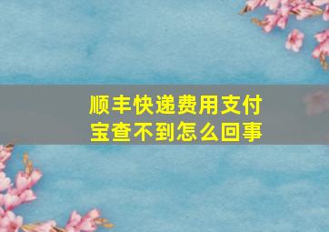 顺丰快递费用支付宝查不到怎么回事