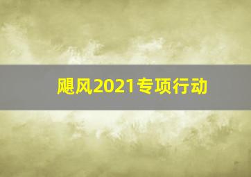 飓风2021专项行动