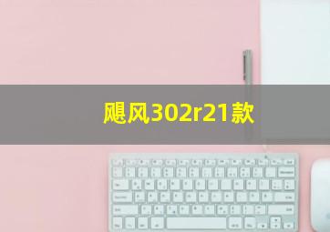 飓风302r21款