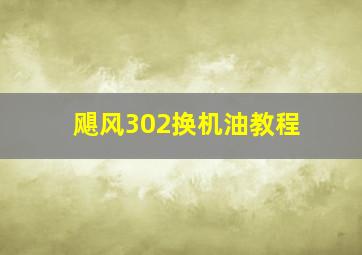 飓风302换机油教程