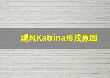 飓风Katrina形成原因