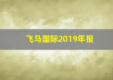 飞马国际2019年报