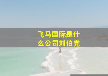 飞马国际是什么公司刘伯党