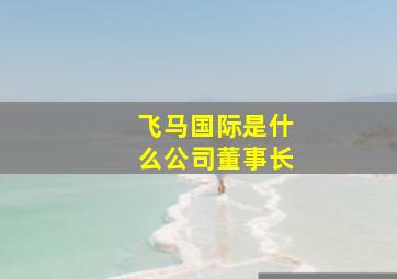 飞马国际是什么公司董事长