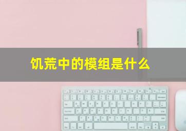 饥荒中的模组是什么