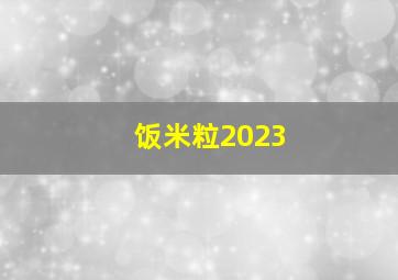 饭米粒2023