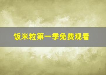 饭米粒第一季免费观看