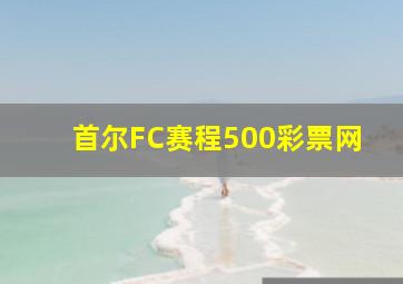 首尔FC赛程500彩票网