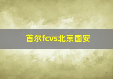 首尔fcvs北京国安